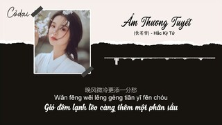 [Vietsub + Pinyin] Ẩm Thương Tuyết (饮苍雪) - Hắc Kỳ Tử