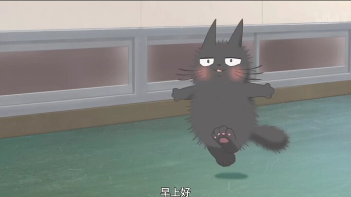 [Vibrant Youth] The heroine is so cute! ! Get the new image! The energetic black cat and the docile 