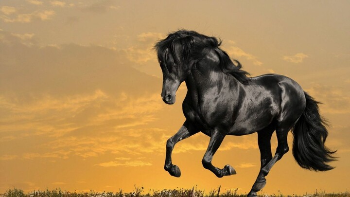 Hijo del viento - Lufebear
