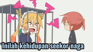 Inilah kehidupan seekor naga