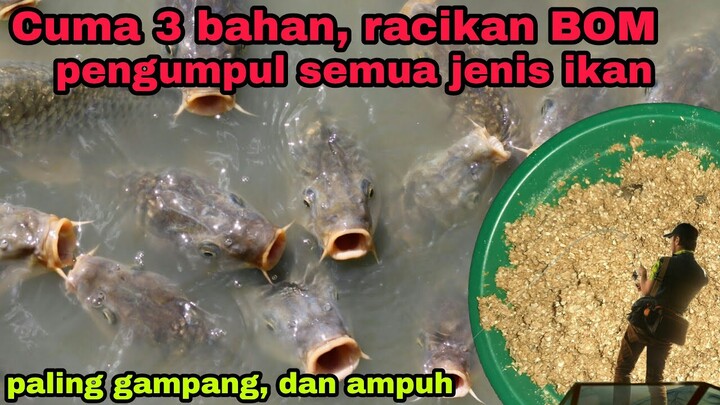 Cuma 3 Bahan,JITU Racikan BOM Pengumpul Ikan Nila dan Mas (Di Jamin, Ikan Cepet Berkumpul)
