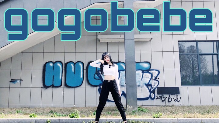 【Longan Tea】MAMAMOO’s new song GOGOBEBE jumps quickly and the magical dog Beibei comes in for brainw