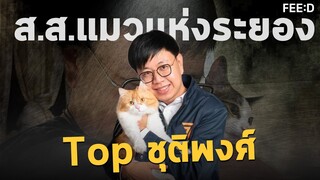 รู้จักกับ "ท็อป ชุติพงศ์ พิภพภิญโญ" ว่าที่ ส.ส.แมวแห่งระยอง : FEED