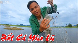 Bắt cá mùa lũ - Trải nghiệm tuổi thơ - Lương Sơn Bạc VLOG