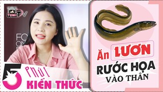 8 Món ăn đại kỵ với Lươn không phải ai cũng biết | TUMI TV Official