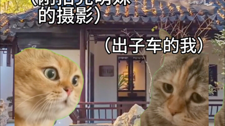 头七cos笑话
