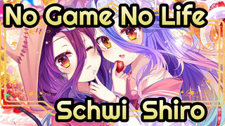 Sudah 2021, Ada Yang Masih Ingat Schwi & Shiro? - ̗̀(๑ᵔ⌔ᵔ๑) | Kenangan Anime Yang Berharga