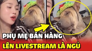 Boss cứ lên Livestream phụ BÁN HÀNG là NGỦ khiến cô Sen BẤT LỰC 😂 | Yêu Lu