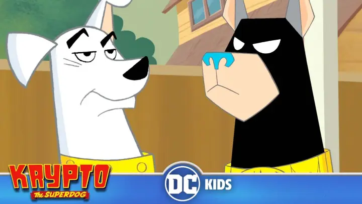 Krypto The Superdog | Bat-Hound's Bad Luck! | @DC Kids