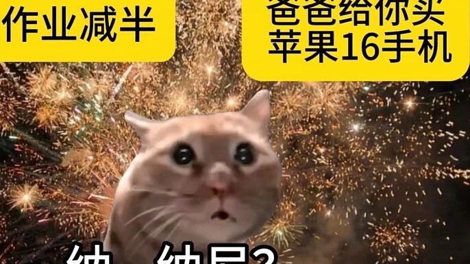 Khi bạn nhận được lời chúc mừng năm mới, hãy chọn một trong hai