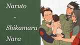The moving scenes of Nara Shikamaru and his master in Naruto
