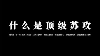 【 8 0 位 】人 类 顶 级 苏 攻 混 剪 （下）