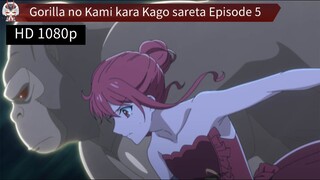 Gorilla no Kami kara Kago sareta Episode 5 Sub Indo