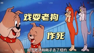 Jerry và Tom không có ở nhà, và ba người họ đã gây ra rắc rối lớn! Hoạt hình hoài cổ Tom và Jerry