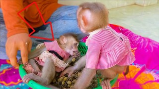 The Lazy Girl!! Look at Toto so lazy eating Kroland fruit in the basket fruit