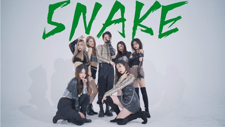 【SNAKE】Charming snakes appear in groups, are you willing to be petrified? Girls Planet 999's beautif