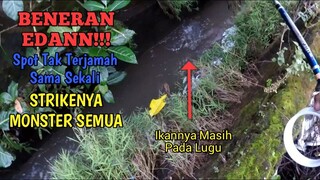 BENERAN EDANN!!! Mancing Ikan di Spot Baru BELUM PERNAH TERJAMAH || STRIKE MONSTER TERUSS!!