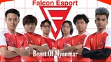 PDKT  The Falcon Gaming Beast From Myanmar