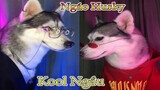 Dương KC | Ngáo Husky kool ngầu | chó thông minh đáng yêu | cute smart dog pet | Thú Cưng TV