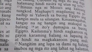 Pang Araw Araw na Talata.               Exodus 10:13-20