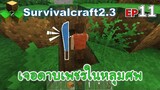 เจอดาบเพชรในหลุมศพ Survivalcraft 2.3 ep.11 [พี่อู๊ด JUB TV]