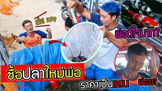 ซื้อปลาใหม่หลักแสนให้พ่อ!!!   พ่อดีใจมากทำตัวไม่ถูก จะทำยังไงดี?