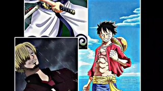 3 biodata kru mugiwara luffy