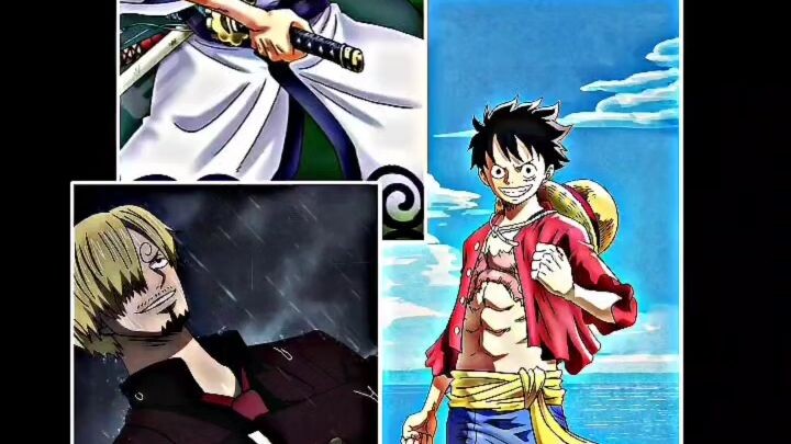 3 biodata kru mugiwara luffy