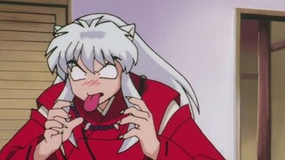 [InuYasha] Momen ketika sifat asli anjing terungkap (Ah! Lucu sekali, aku ingin rua ^▽^)