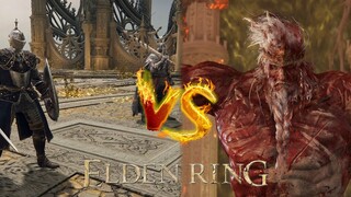 Elden Ring | BvB NPC Fighting Championship Round of 16 Winners Team up 🆚HOARAH LOUX TEAM#D