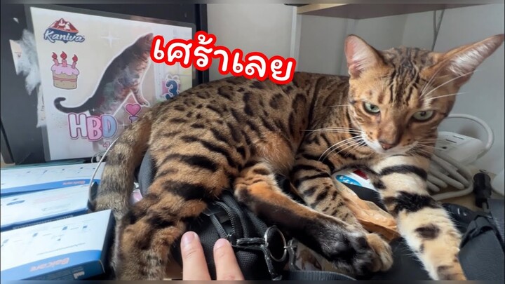 ซีซั้นนี้อีแม่ไม่รอด