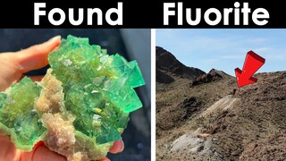 Most Fluorite in a Gold Mine Prospecting