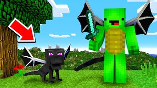 Playing Minecraft As A BABY ENDER DRAGON