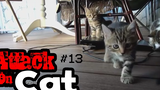 รวมพลแก๊งค์แมวฮ่า Attack on Cat ! 13 / ตอน แม่ดุ พากย์นรก