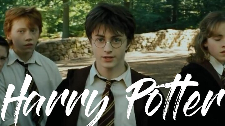 [Characters' appearance is mixed and edited] I feel that the third part of "Harry Potter" is the pea