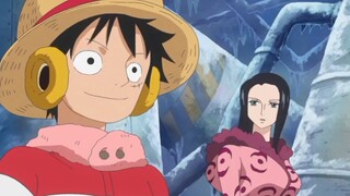 MOMEN KOCAK LUFFY MENERIMA TAWARAN TRAFALGAR LAW