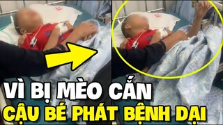 Xót xa hình ảnh cậu bé phát "BỆNH DẠI" sau một thời gian bị mèo cắn | TIN GIẢI TRÍ