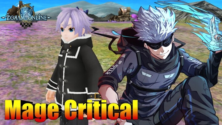 Mage Critical INT STR lvl cap 245 (Toram Online)