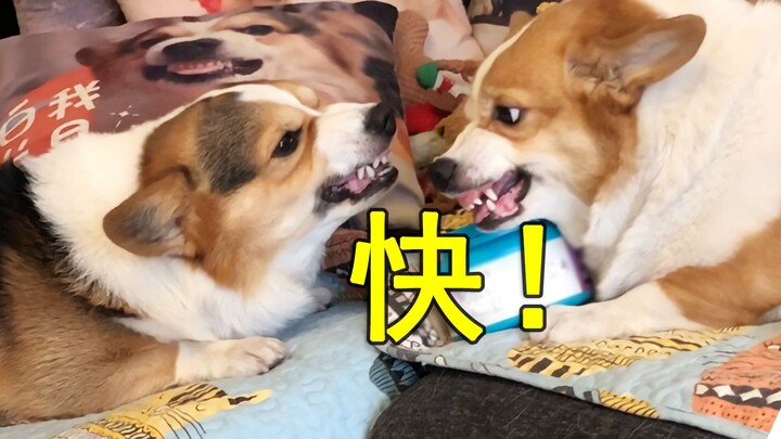 我不仅要和你吵架，还要减肥让自己嘴动得更快！