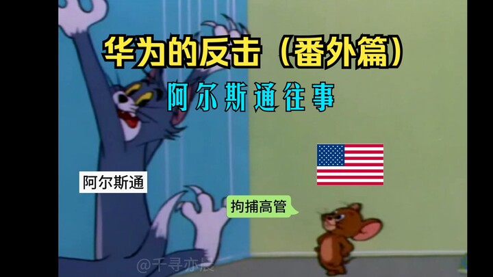 华为：我tm来了！（番外篇之阿尔斯通往事）