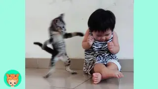 Funny Babies Fighting With Cats - Baby and Pet Videos