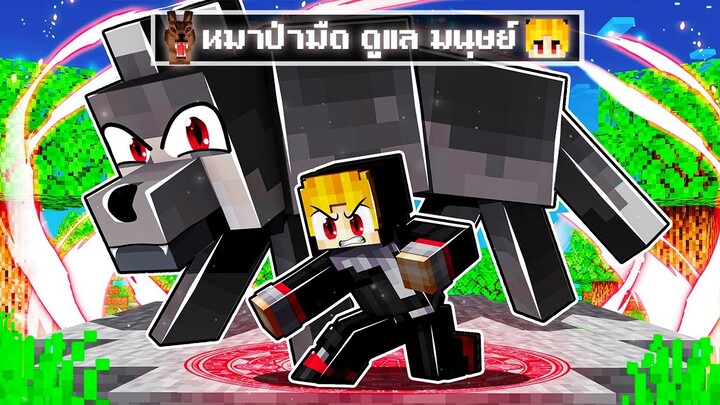 จะเกิดอะไรขึ้น!! หมาป่ามืด ดูแลผม.. ให้มีพลัง แข็งแกร่ง ใน Minecraft!