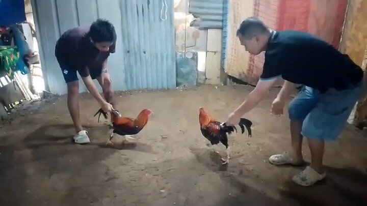 spar...speep and power🔥🔥🔥