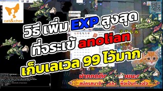 ragnarok classic วิธีเพิ่ม EXP สูงสุด เก็บเลเวล จระเข้ Anolian 99 อย่างรวดเร็ว ทำยังไงมาดู