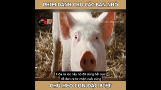 Review phim - Chú heo con đặc biệt