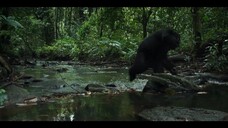 Đế chế tinh tinh EP 2 [Sub Việt]