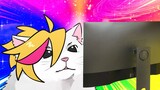 Saat Anda menabrak Nyan Cat, tanpa sengaja meleset...