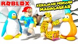 BANG BOY MEMBUAT PULAU PINGUIN MADAGASKAR TERBESAR DI ROBLOX - TOP UP DI D2C GAMING STORE