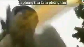 rap hảo hán