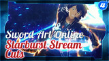 Sword Art Online----Starburst Stream！！How Lonely Is A Invincible System!_4